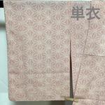 C925正絹　単衣　塩沢紬　麻の葉　極美品　着物